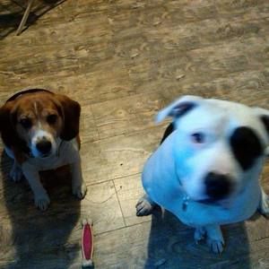 Meet your Posher, Shane